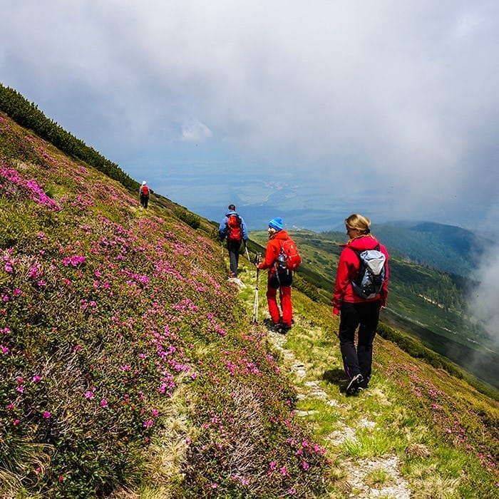 2.Activitati in natura_1, vama buzaului, muntii ciucas