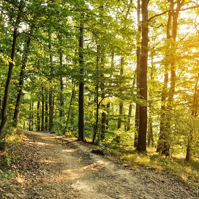 Natura_1, cazare Muntii Ciucas