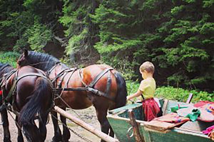 Ralucaloteanu-despre-Pastel-Chalet