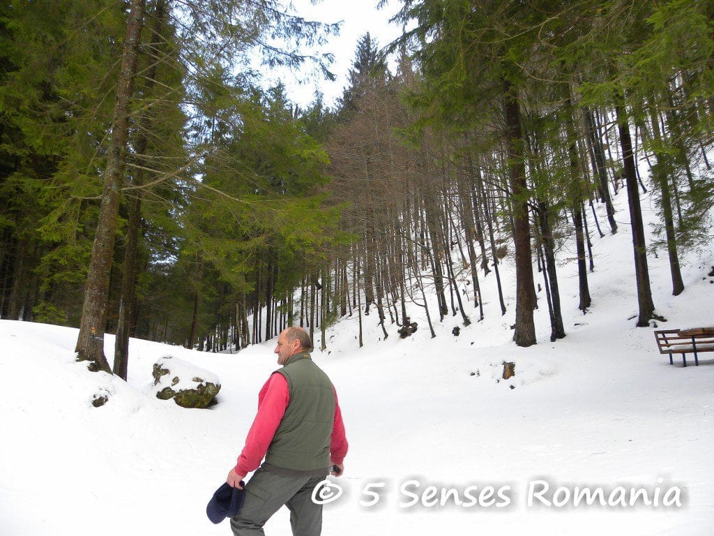 5 senses Romania - Pe-urmele-domnului-Comăniță