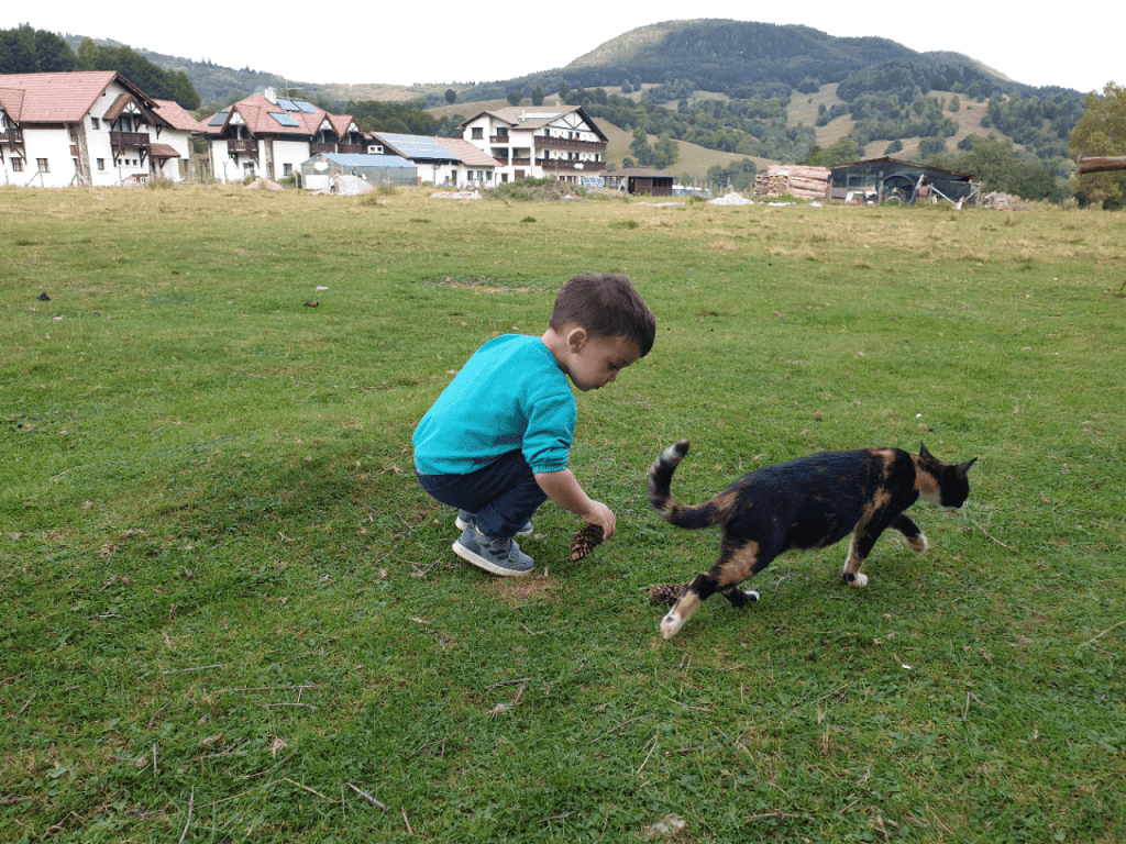 Weekend de poveste la Pastel Chalet_03