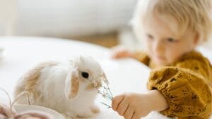 Tabăra În așteptarea iepurașului 6 - 10 aprilie