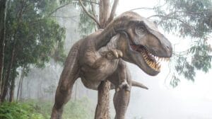 tabara secretele dinozaurilor