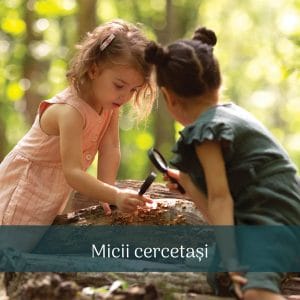 Tabăra Micii Cercetași 12-16 iulie