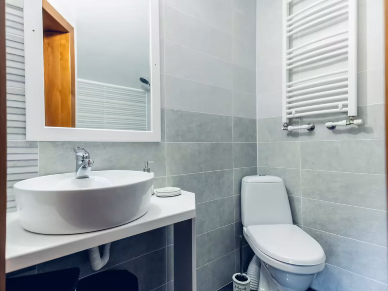 Cabana Valea Morilor (1)