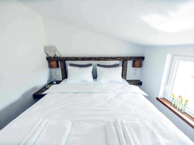 Cabana Valea Morilor (9)